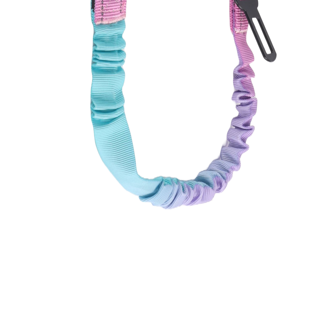 Pastel blue and purple dog lead bungee section.