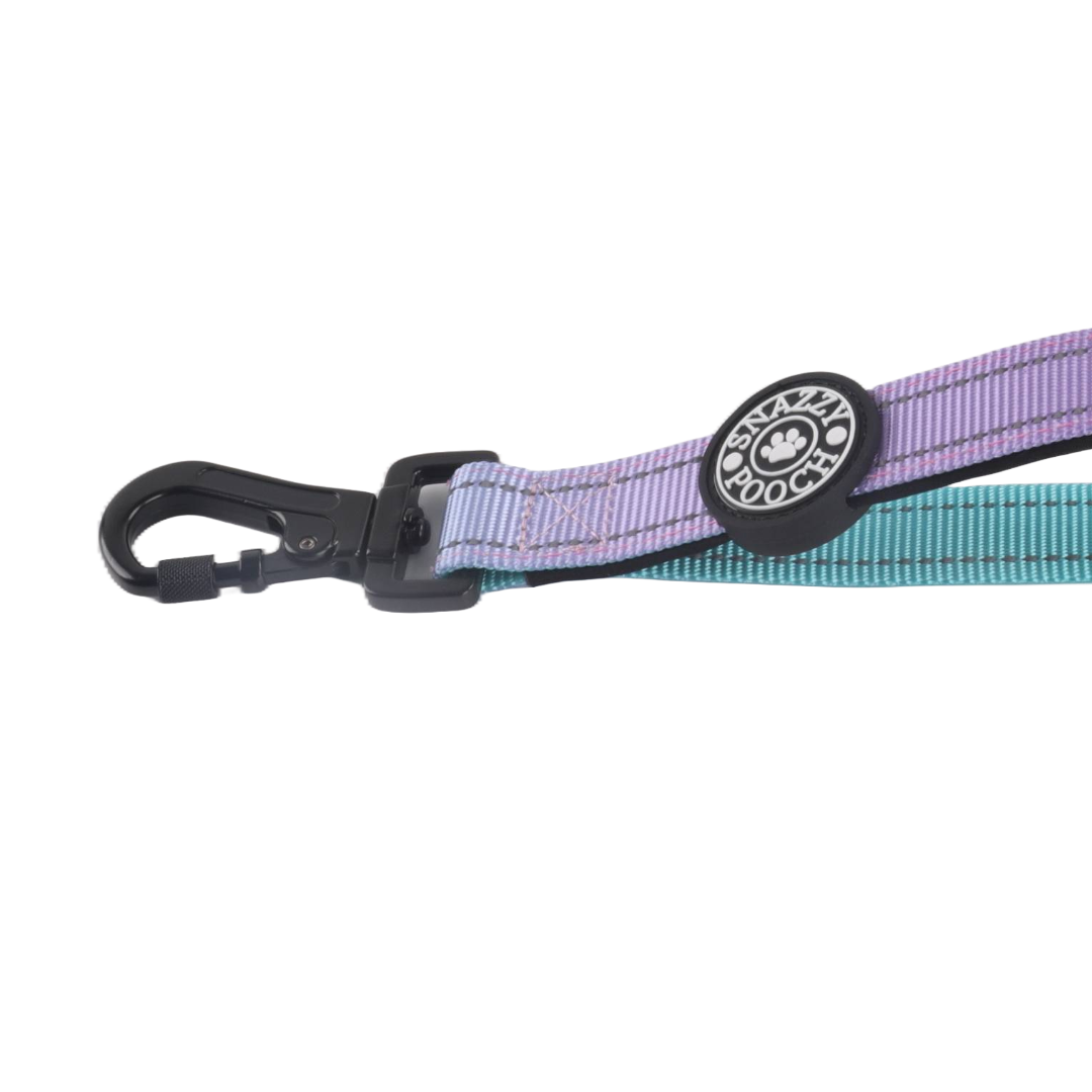 Close-up of a Snazzy Pooch pastel purple and teal dog lead carabiner clip.