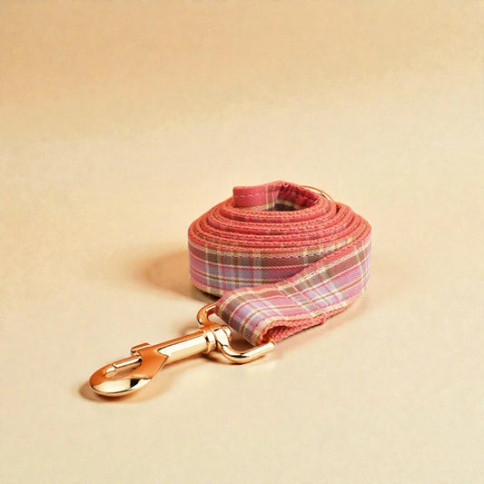 Pink plaid dog lead with gold clip on a beige background