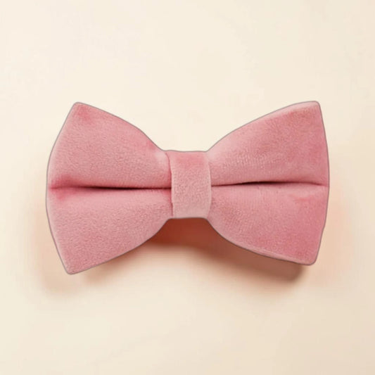 Pink dog bow tie on a beige background