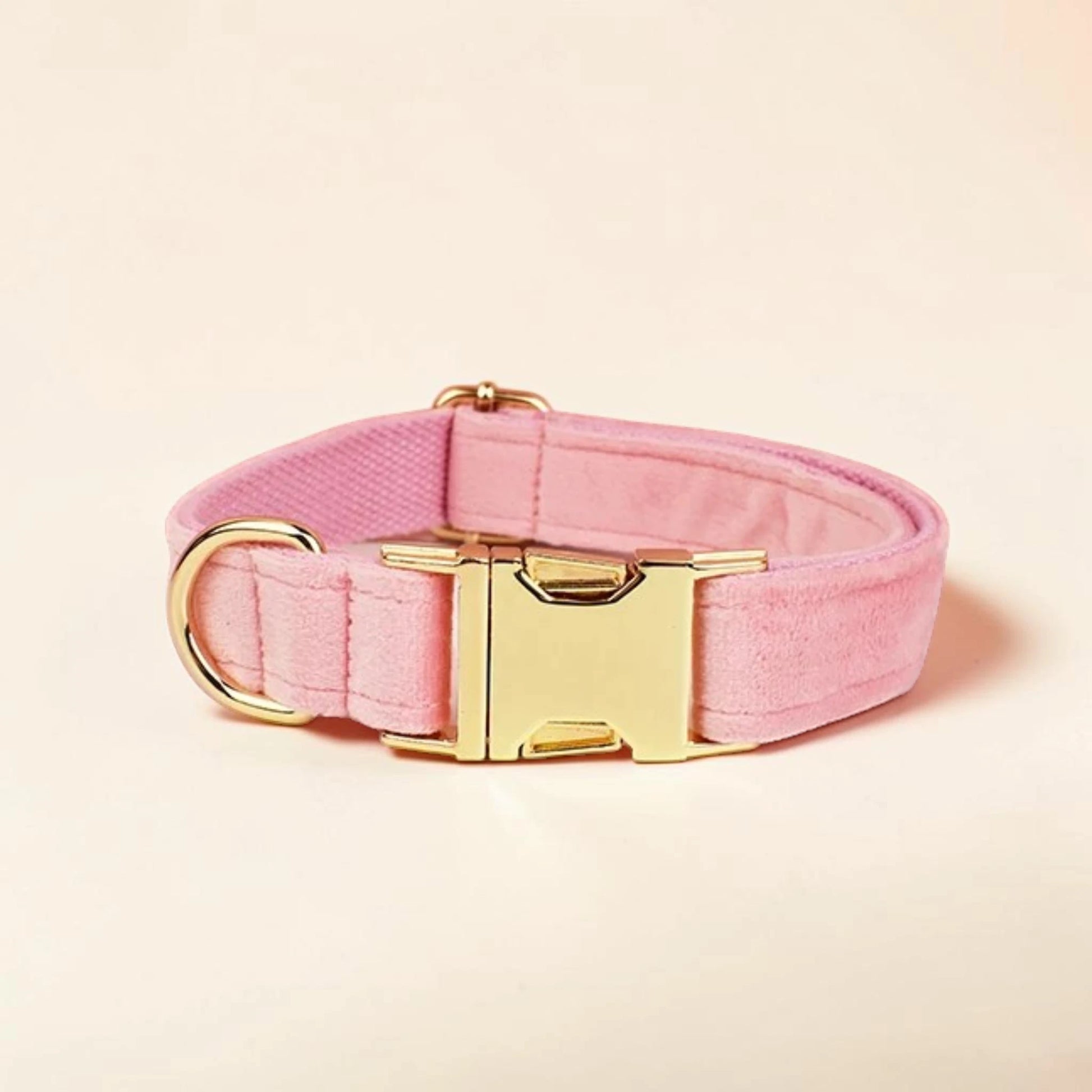 Pink dog collar with gold hardware on a light pink background