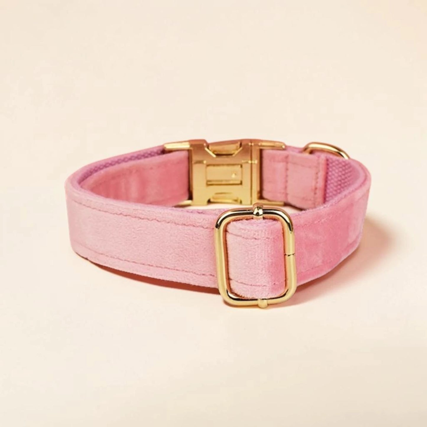 Pink dog collar with gold hardware on a beige background