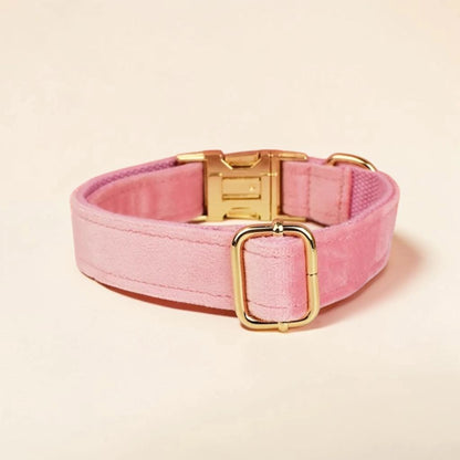 Pink dog collar with gold hardware on a beige background