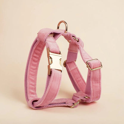 Pink dog harness with gold hardware on a beige background