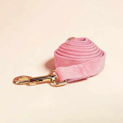 Pink dog lead with gold clip on a beige background