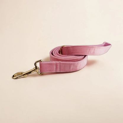 Pink dog lead with a gold clip on a beige background