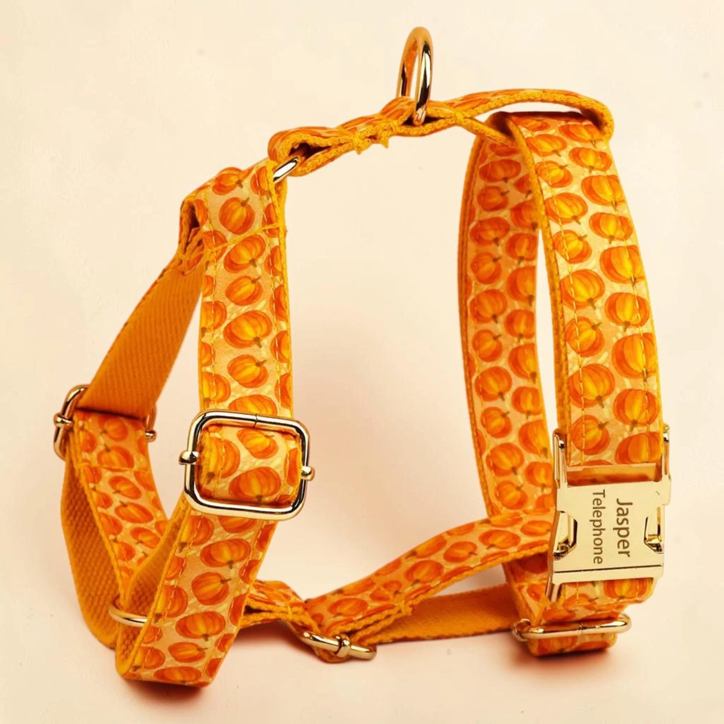 An orange pumpkin Halloween dog harness with gold metal hardware.