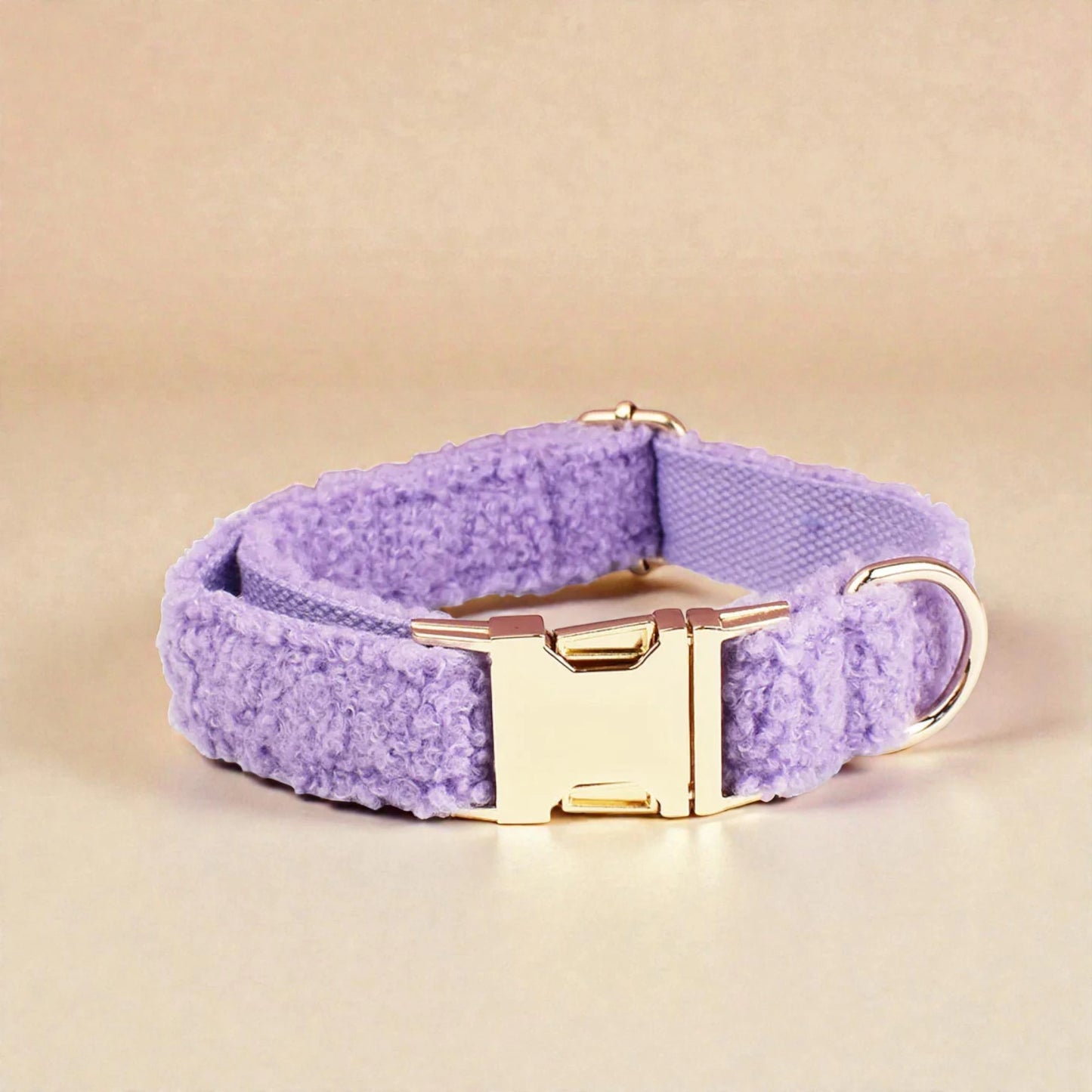 Purple dog collar with gold buckle on a beige background