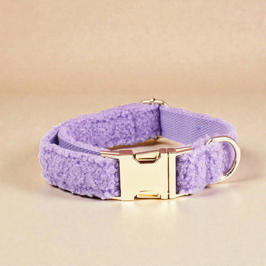 Purple dog collar with gold buckle on a beige background