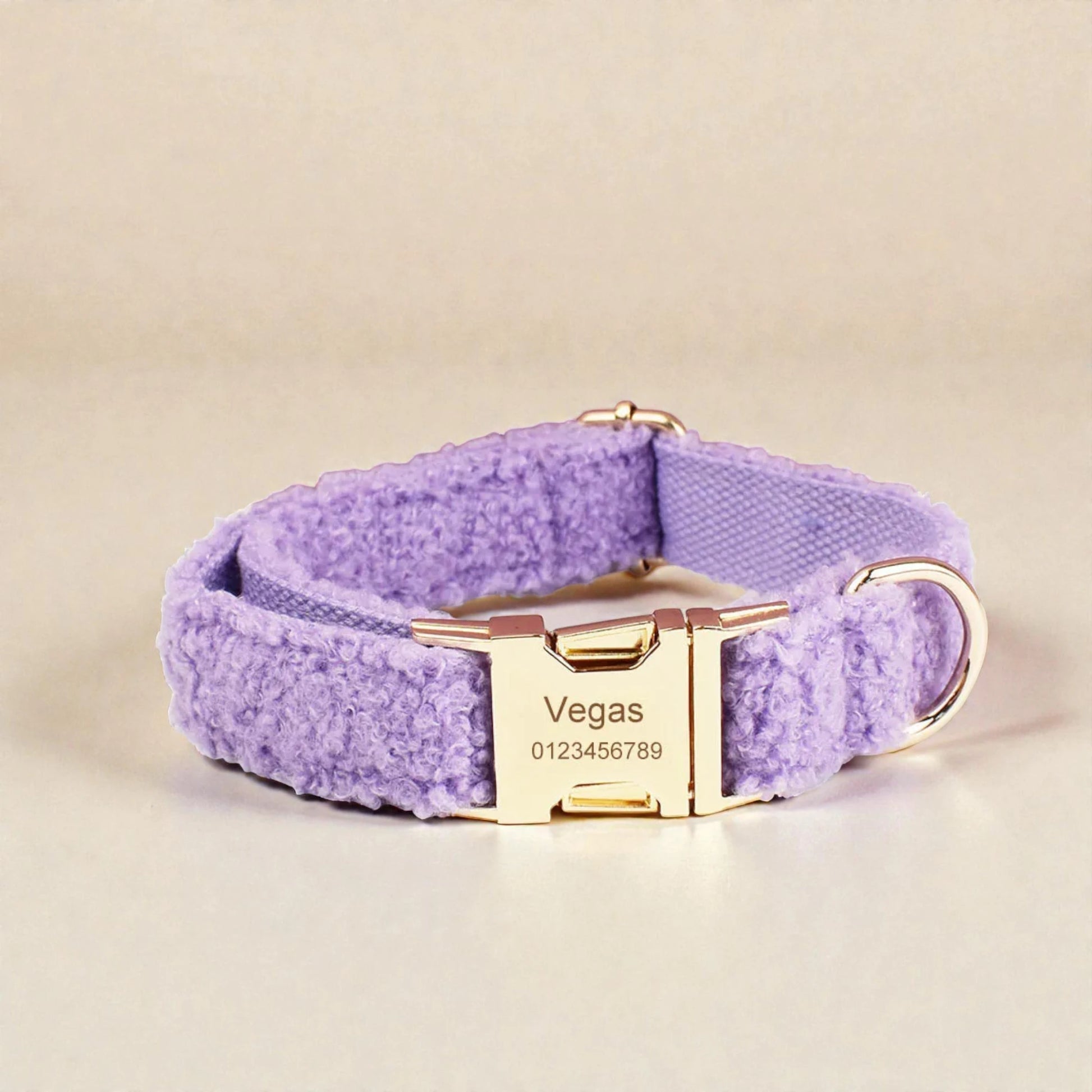 Purple dog collar with gold hardware on a beige background