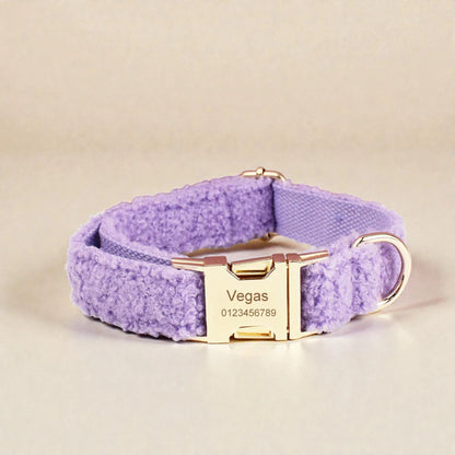 Purple dog collar with gold hardware on a beige background