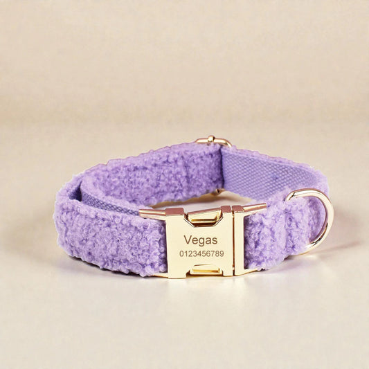 Purple dog collar with gold hardware on a beige background