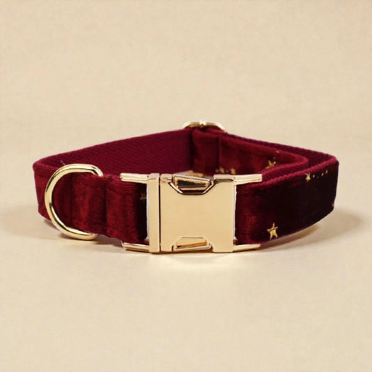 Burgundy dog collar with gold buckle on a beige background
