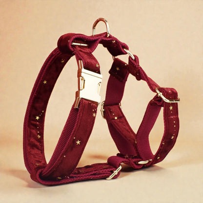 Red dog harness with gold stars on a beige background