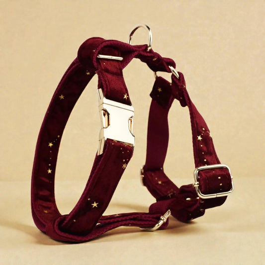 Red dog harness with star patterns on a beige background