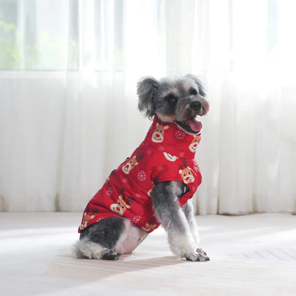 Small dog wearing a red outfit with reindeer patterns on a white background