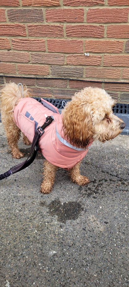 Snug & Dry Waterproof Dog Coat - Windproof & Insulated | Snazzy Pooch