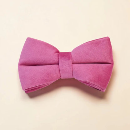 Pink dog bow tie on a beige background