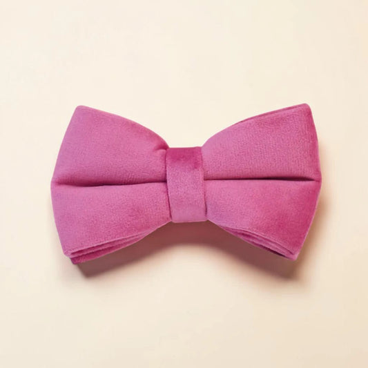 Pink dog bow tie on a beige background
