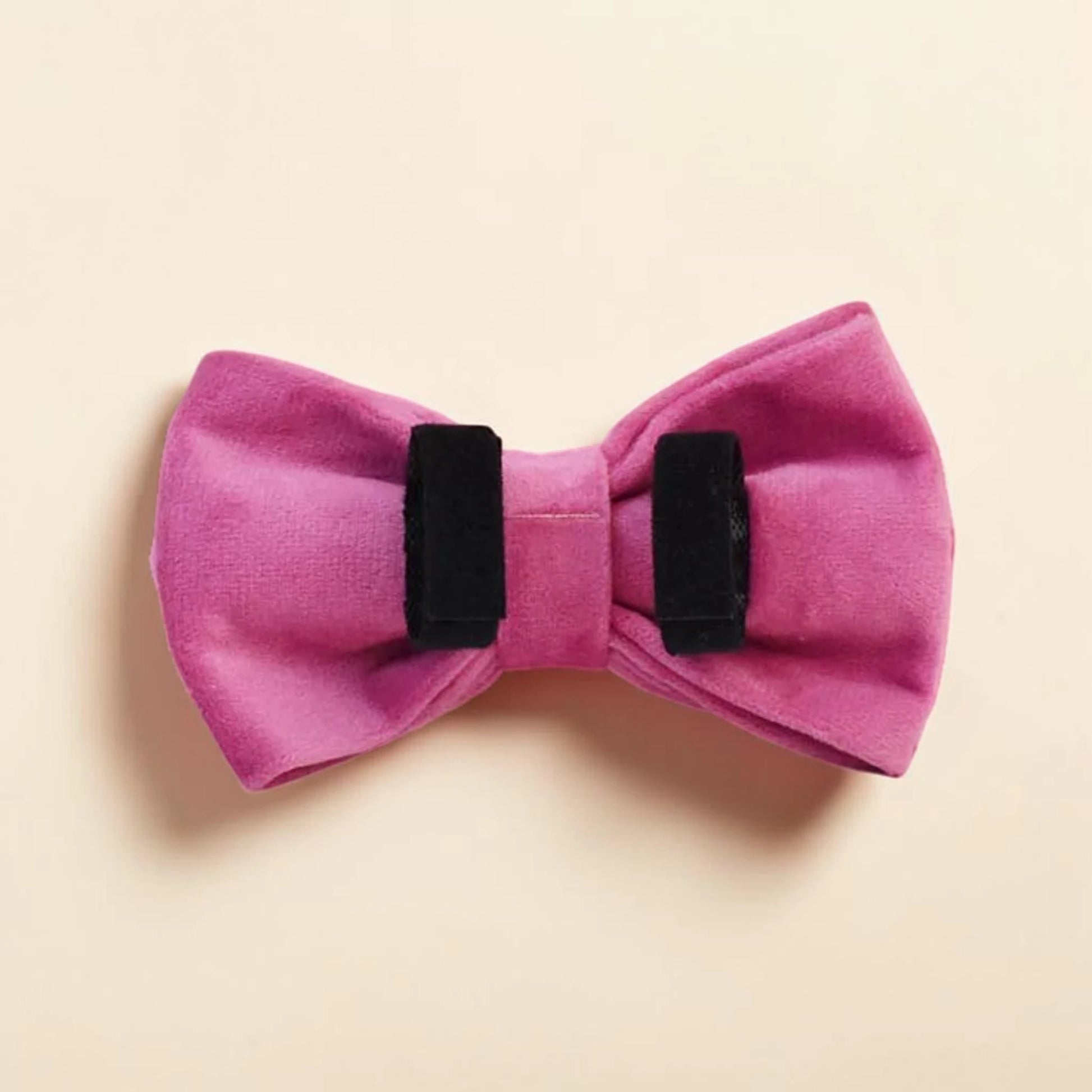 Pink detachable dog bow tie on a beige background