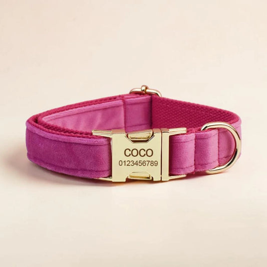 Pink dog collar with gold personalised buckle on a beige background