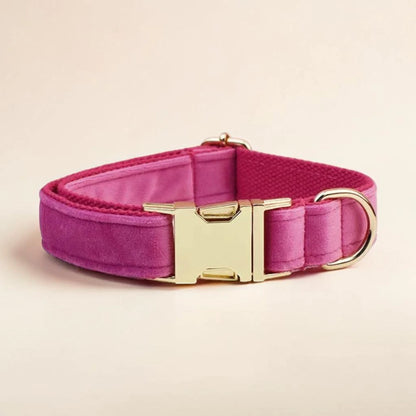 Pink dog collar with gold buckle on a beige background
