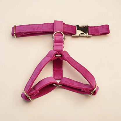 Pink dog harness on a beige background