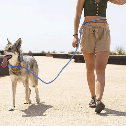 Person walking a dog on a leash with a clear sky background