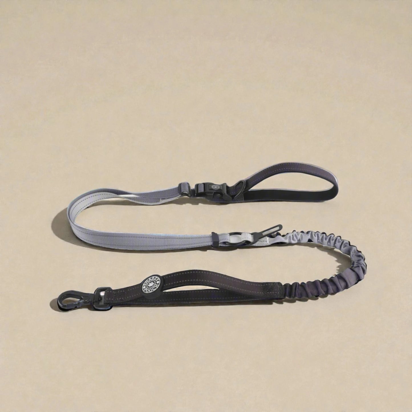 Dog lead with bungee on a beige background