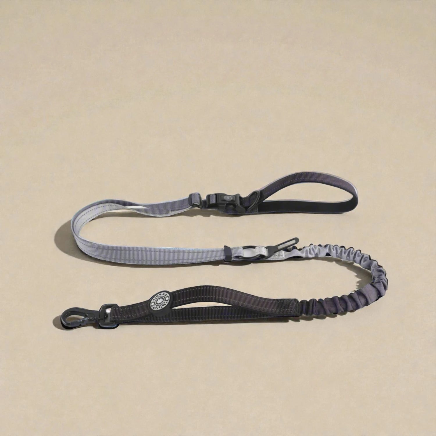 Dog lead with bungee on a beige background