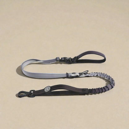 Dog lead with bungee on a beige background