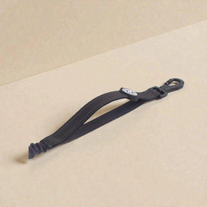 Black dog lead on a beige background