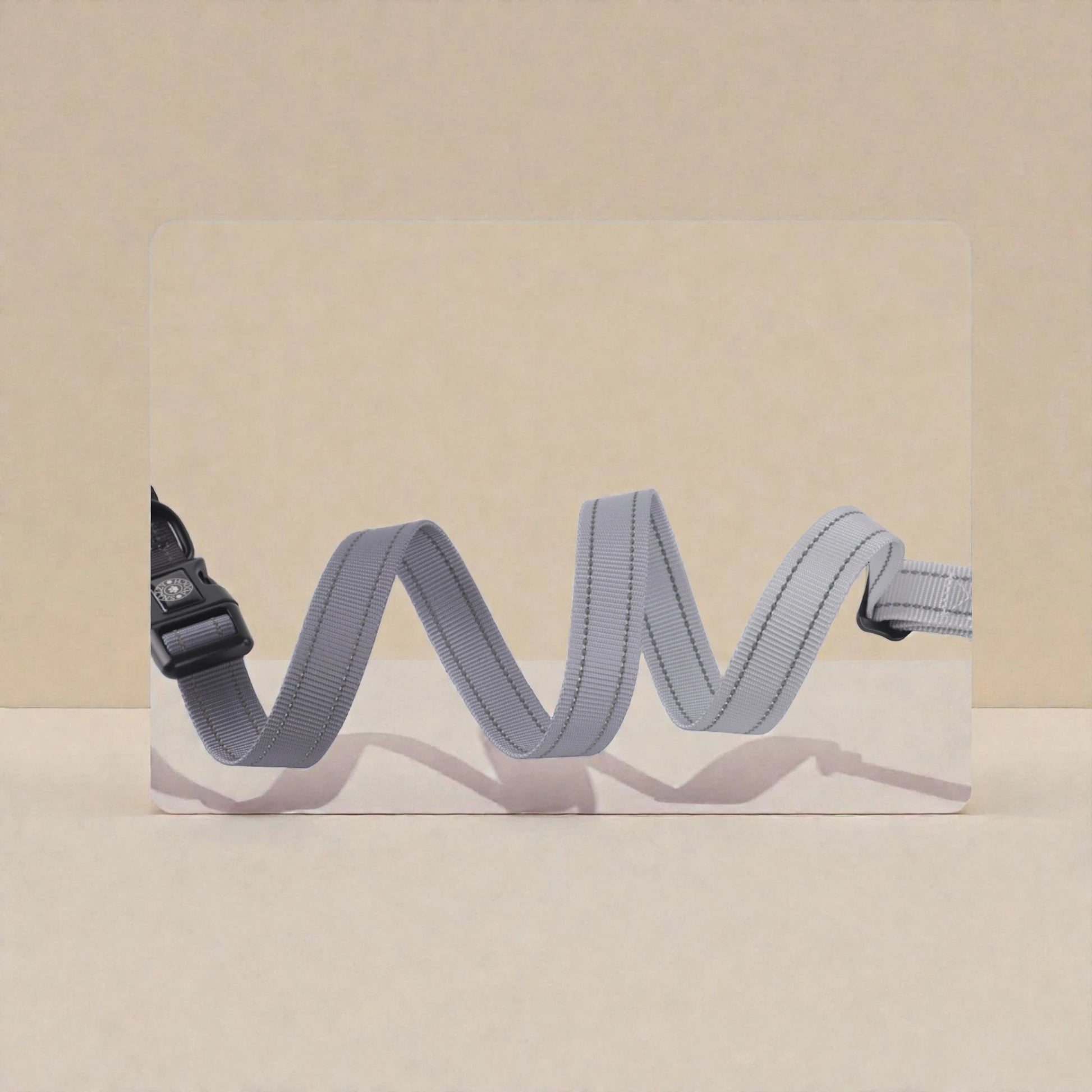 Grey and black dog lead with black buckle on a beige background