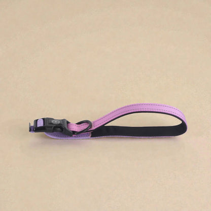 Pink and blue dog lead handle on a beige background