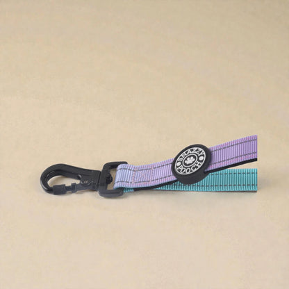 Carabiner clip dog lead on a beige background