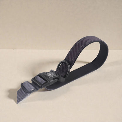 Black strap to dog lead with a buckle on a beige background