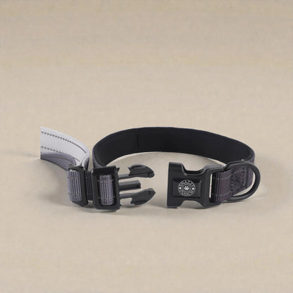 Black dog lead with buckle on a beige background