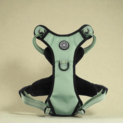 Peppermint and black dog harness on a beige background