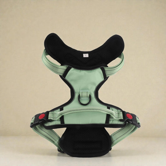 Green dog harness with black padding on a beige background