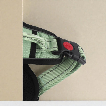 Green dog harness with black straps and a buckle on a beige background