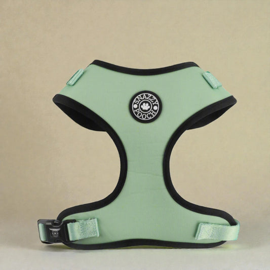 Light green dog harness with black straps on a beige background