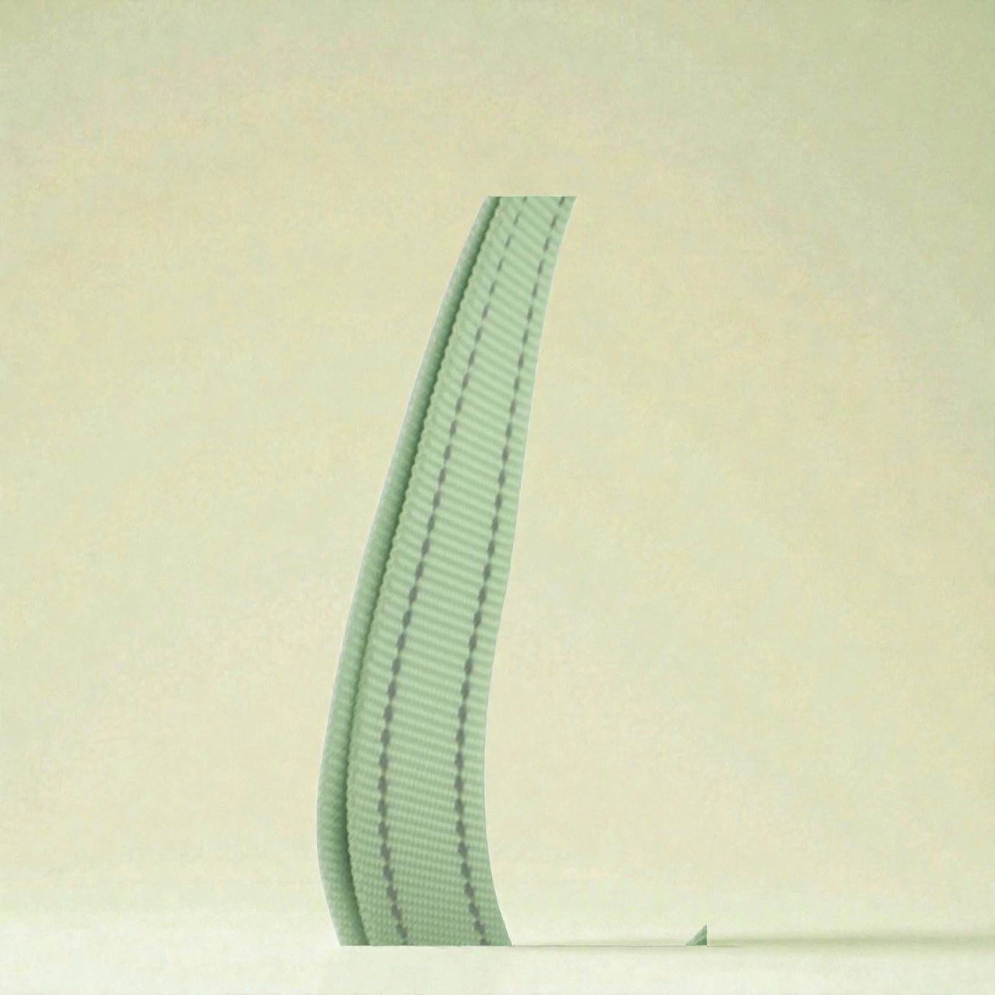 Green material on dog harness on a beige background