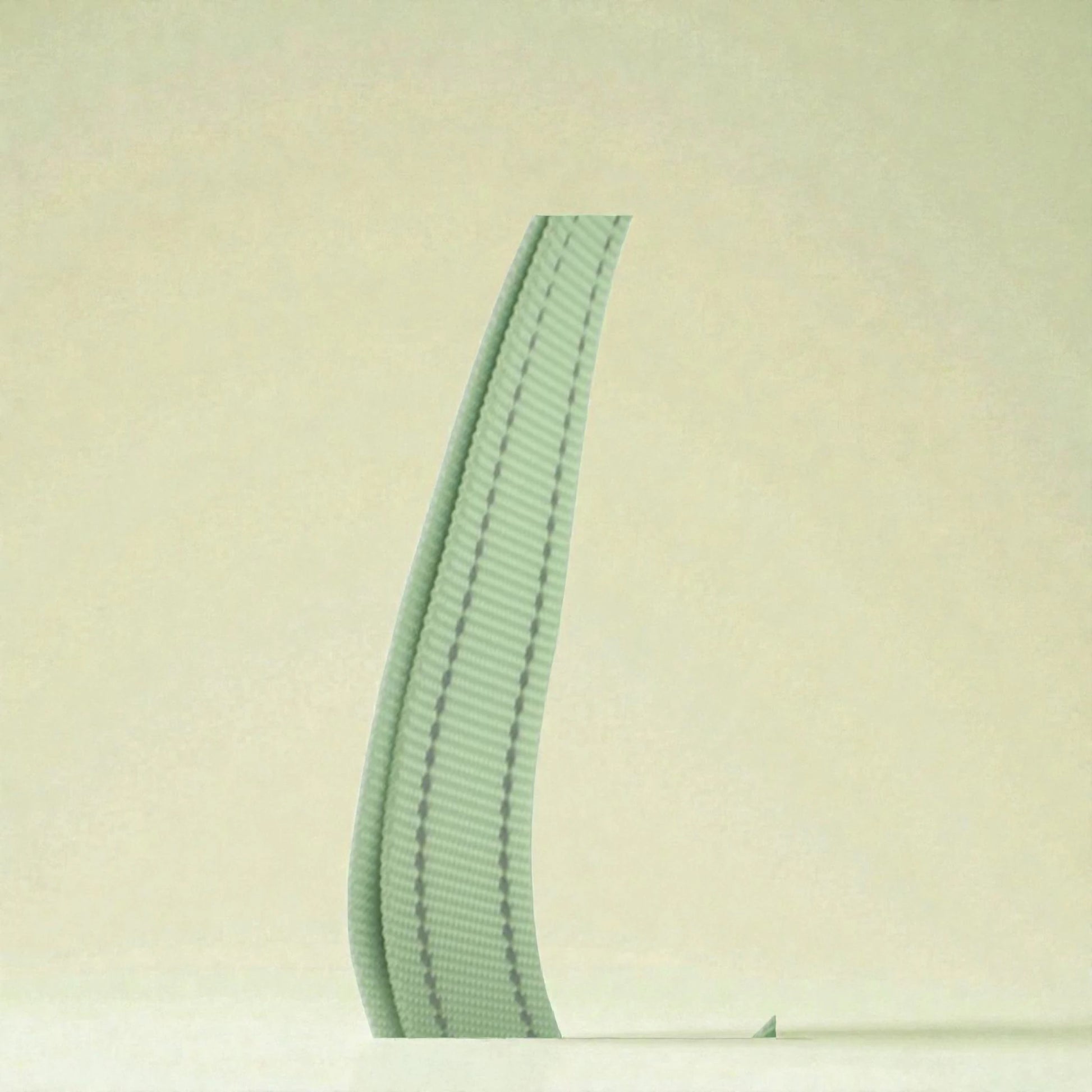 Green material on dog harness on a beige background