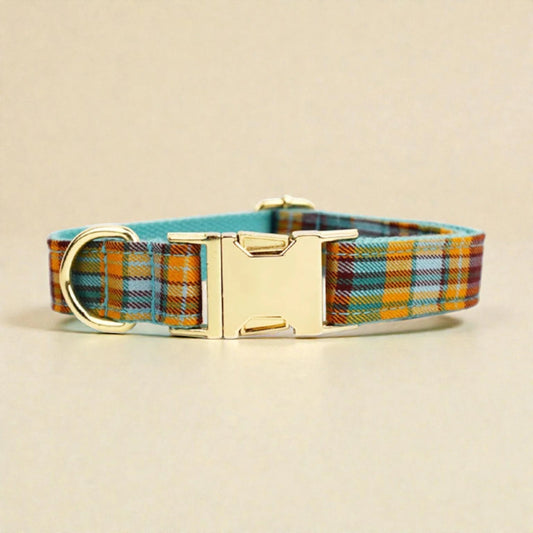 Plaid teal dog collar with gold buckle on a beige background