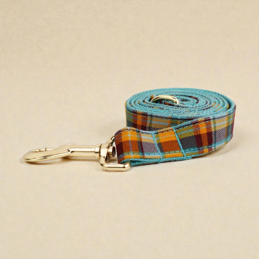 Plaid teal dog lead with gold clip on a beige background