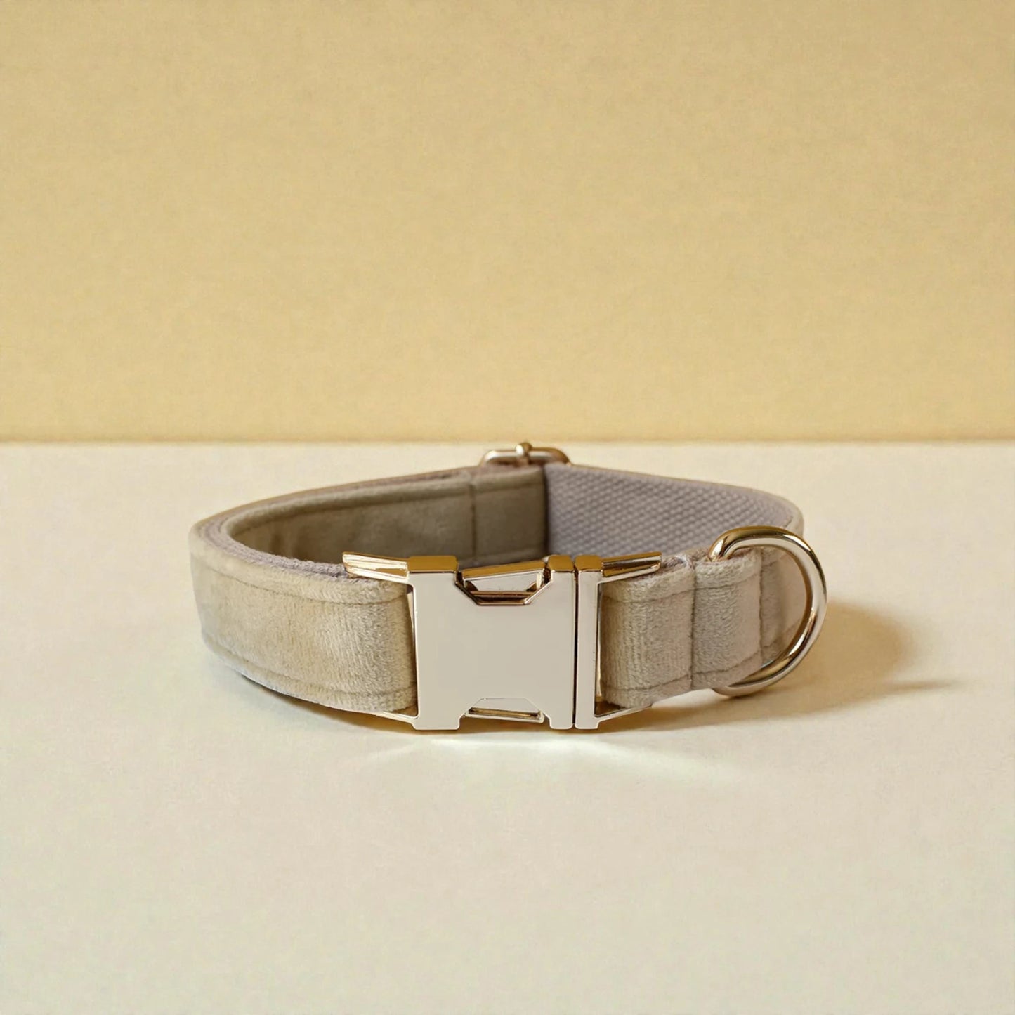 beige dog collar with gold buckle
