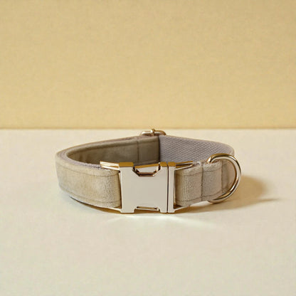 beige dog collar with gold buckle
