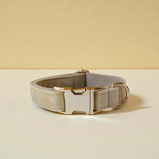 beige dog collar with gold buckle