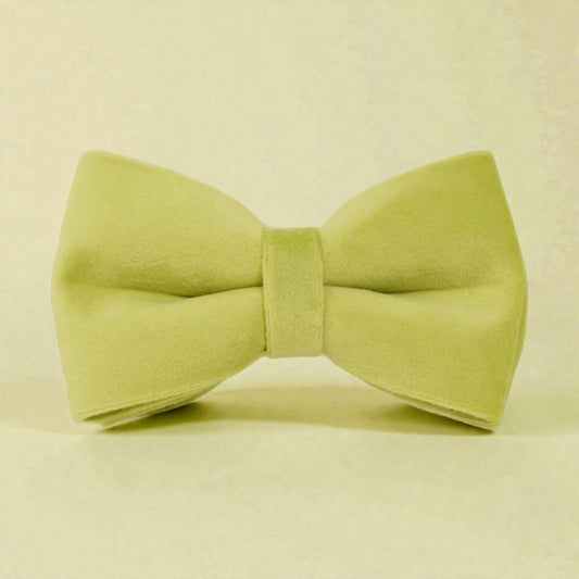 Green bow tie on a beige background