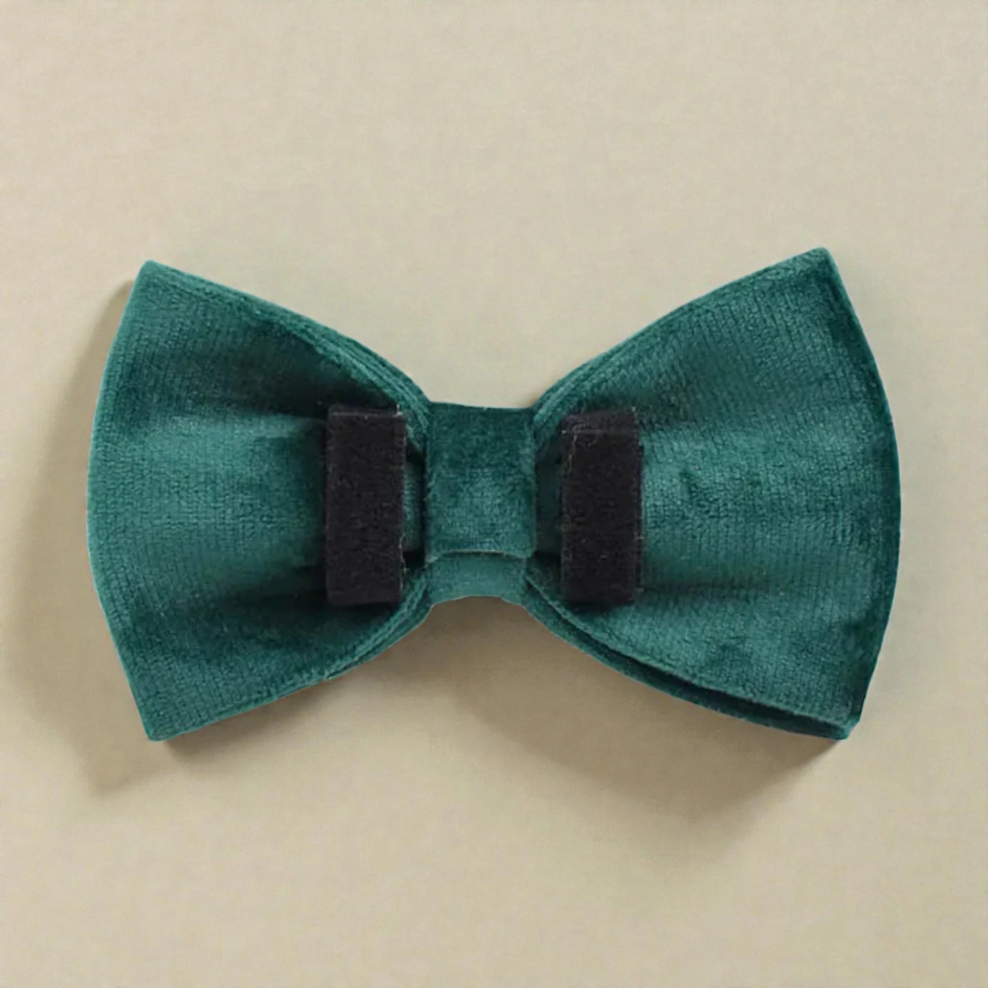 Green bow tie on a beige background